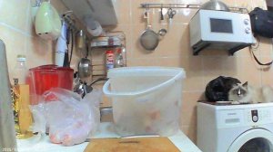 ЛУЧШАЯ РЫБА ???