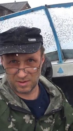 Как избавится от Карельских Комаров в лесу Shorts