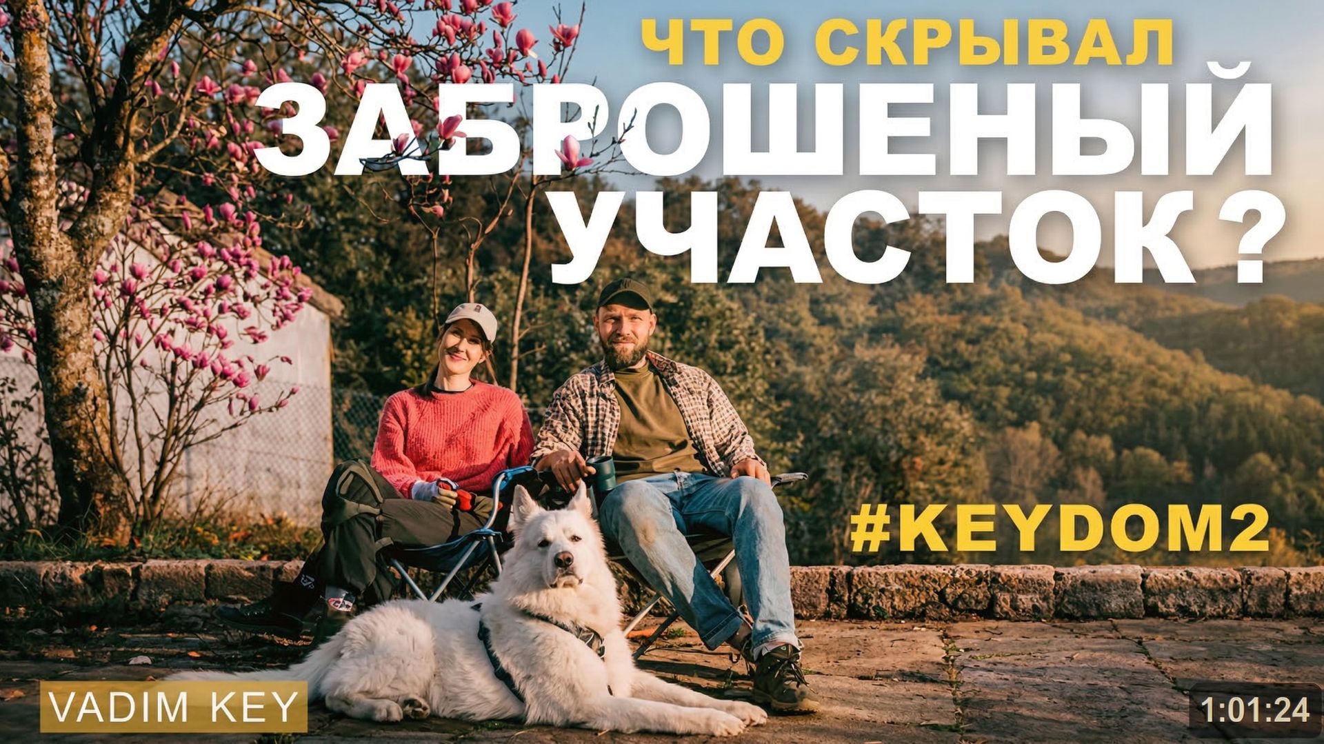 Купили заброшенную кинту в Португалии. Первый месяц работ! С чего мы начали KEYDOM2 #3