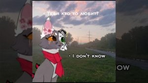 Темная Ночь КВ коты воители💗