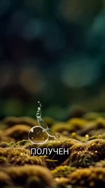 Твое отношение меняющее жизнь