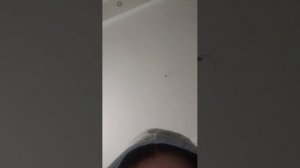 палю реально лицо