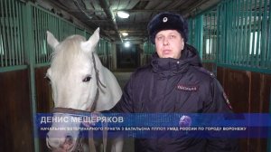 Полиция Воронежа поздравила милых дам с 8 марта