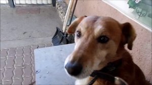 ч.9 Восточный