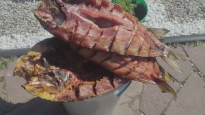 Вкусная Книжка из Рыбы! Холодное копчение рыбы.