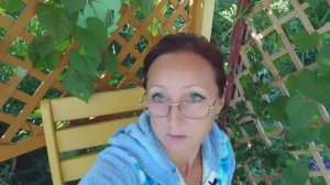 Видео привет с 6 соток из 31 июля