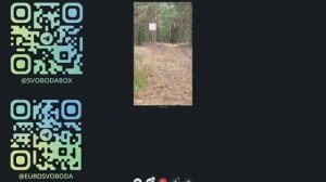 История на грани чуда как они оказались в Беларуси  Долгий и захватывающий рассказ