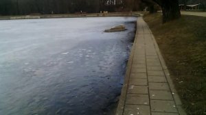 119 2019.04.06_10.55.32