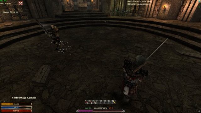 Ворон в Яркендаре