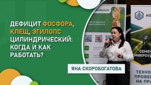 Дефицит фосфора, клещ, эгилопс цилиндрический: когда и как работать?
