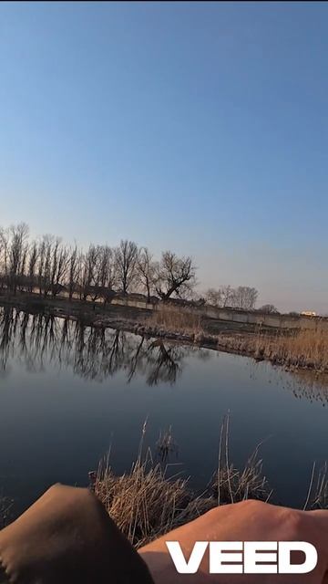 лови ЩУКУ пока остальные Не ловят, пока сознание не потеряешь или рука не заболит #fishing #спиннинг