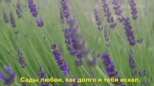 Сады любви, как долго я тебя искал,