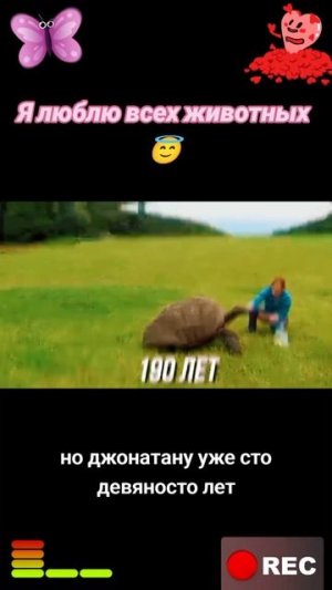 Животные приколы и не только😅