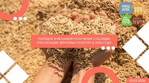 Запись семинара от 10 марта 2026 года