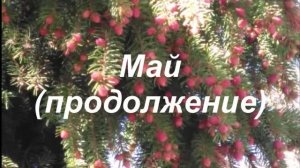 Страницы из 2019г 7ч