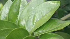 ОЧЕНЬ ДАЖЕ НЕПЛОХО**ДАРИТЕ ЖЕНЩИНАМ 🌸🌺🌻🌹🌷🌼💐ЦВЕТЫ**ДАРЯТ ТОЛЬКО НАСТОЯЩИЕ МУЖЧИНЫ.....