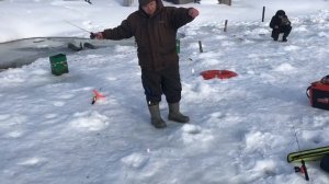 поимка форели