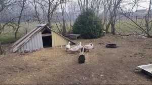 Жизнь на пенсии. Копошимся, что-то делаем!