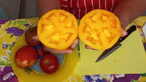 ЛУЧШИЕ Томаты для посева выбрала. Семена замочила.