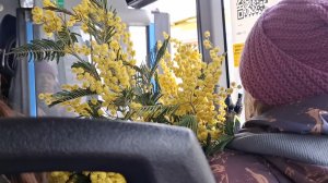 Прочувствуйте это чувство, пустая электричка, стук колес, автобус, мимоза и разговоры #влог