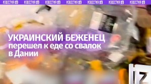 «Просто валом!»: украинский беженец ищет еду на мусорках в Европе