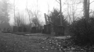 ЗНАКОМСТВО С ПОГРЕБЁННОЙ! Страшные истории. Страшилки на ночь. Авторская история.