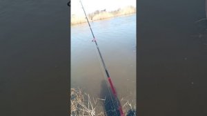 рыбалка на реке тёплый канал 3