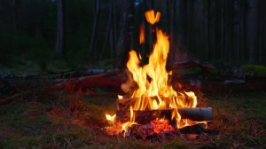 4К АСМР ASMR Костёр в лесу треск дров Атмосфера Эффект Присутствия на телевизор камин
