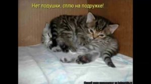 05 Крименальные анекдоты