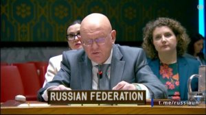 В.А.Небензя на заседании Совета Безопасности ООН по положению в Афганистане, Нью-Йорк, 9 марта 2026