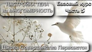 БАЗОВЫЙ КУРС. НАСТРОЙКА ТЕЛА на МНОГОМЕРНОСТЬ. Часть 5