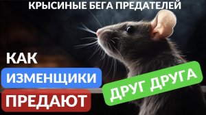 Как изменщики предают друг друга