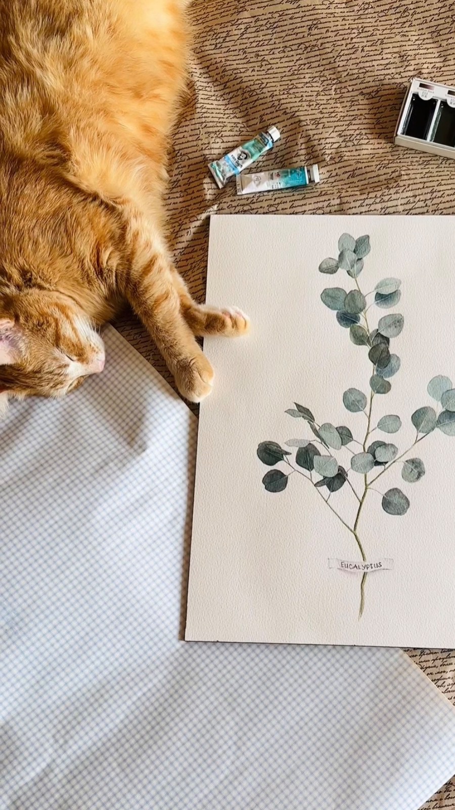 Эвкалипт и Яша🌿 Ботаническая иллюстрация акварелью