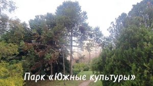 «Южные культуры» — дендрологический парк в посёлке Сириус. Сочи. Адлер.