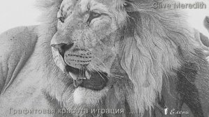 Графитовая красота и грация  *   Художник Clive Meredith