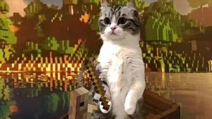 Разоблачение на максима Дзюбу 2 часть