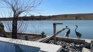 video5296453858682249515