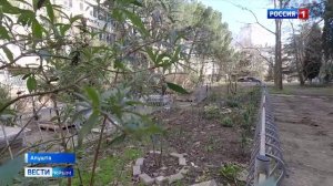 В Алуште взялись за благоустройство придомовой территории по улице Ялтинской
