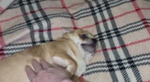 Доброго утречка и чудесного начала дня.