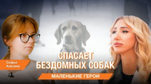 Маленькие герои. Как Софья Алятина помогает сотням бездомных собак