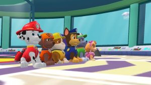 Щенячий патруль. Новая миссия Скай. Играем весело