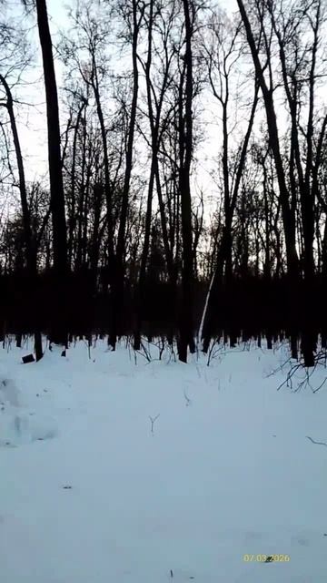 Филёвский парк 07.03.2026