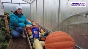 8 самых важных дел в саду осенью! Что необходимо делать в саду осенью ШПАРГАЛКА работ в предзимье