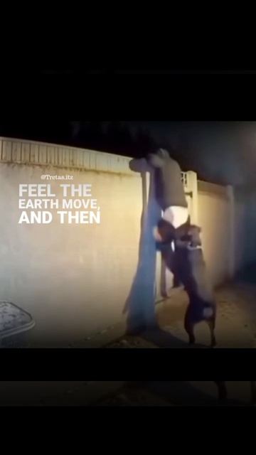 #ЮАР #Ограбление Сюрпрайз мазафака!