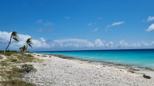 Бонэйр - Кралендейк пляж острова Бонайре в Карибском море 10 марта 2026