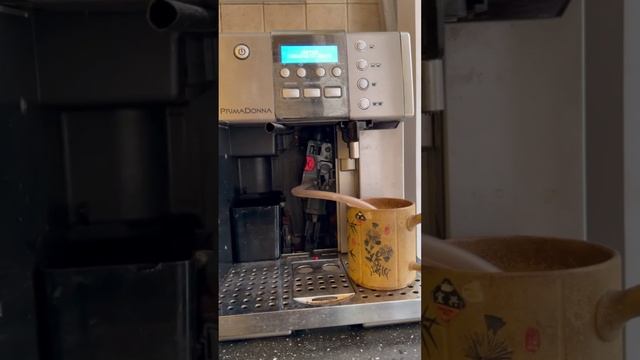 De'Longhi PrimaDonna ESAM 6620