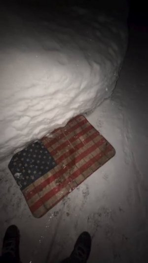 Сосать омэрика