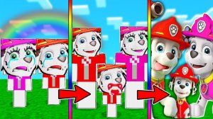 КАК МЕНЯЛАСЬ СЕМЬЯ МАРШАЛА - ЩЕНЯЧИЙ ПАТРУЛЬ В МАЙНКРАФТЕ