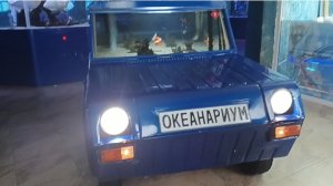 ОКЕАНАРИУМ/ Архипо-Осиповка/ 19.09.2025г