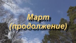 Страницы из 2019г 3ч